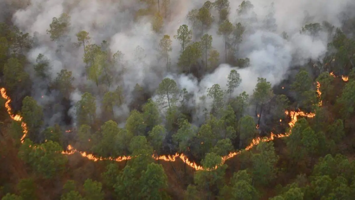 Incendios forestales